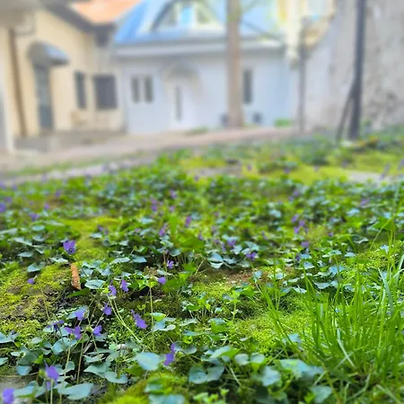 Apartament Marigold Centar Ns Nowy Sad