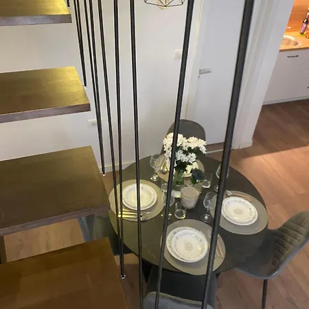 Marigold Centar Ns *