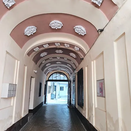 Marigold Centar Ns *